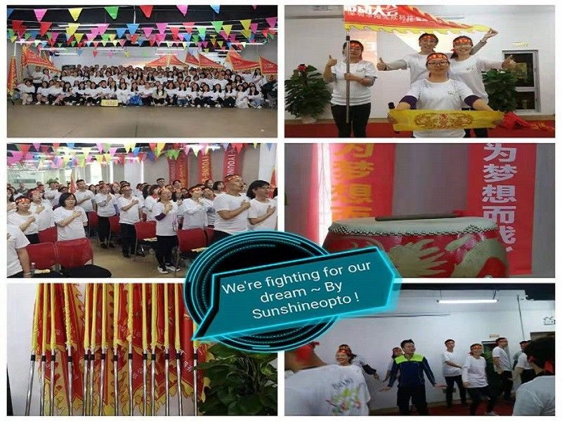 中国 Sunshine Opto-electronics Enterprise Co.,ltd 会社概要