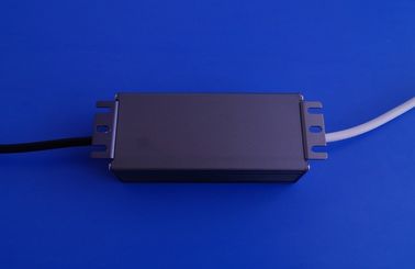 購入 AC 110V/220V は軽い運転者、LED の一定した流れの電源 30W - 40W --を導きました オンライン製造