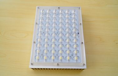 購入 屋外 60W LED ライト付属品 1W は 140lm -防水 150lm --を導きました オンライン製造