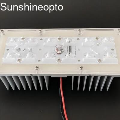 12 LED 5050 SMD LED ライトモジュール、173mm 145x70 度ビーム角レンズ付き街路照明用